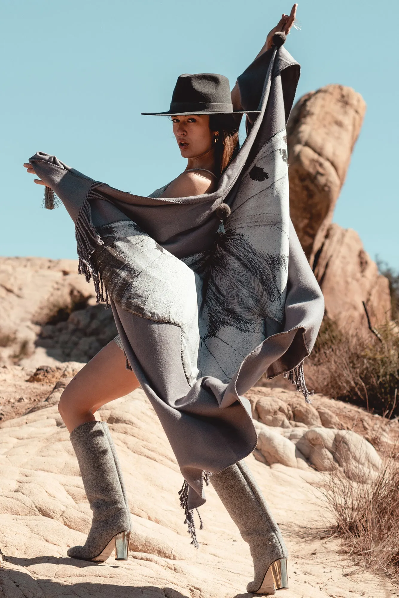 Clouded Apollo Butterfly Blanket