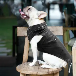 Cool Cute Leather Pet Jacket