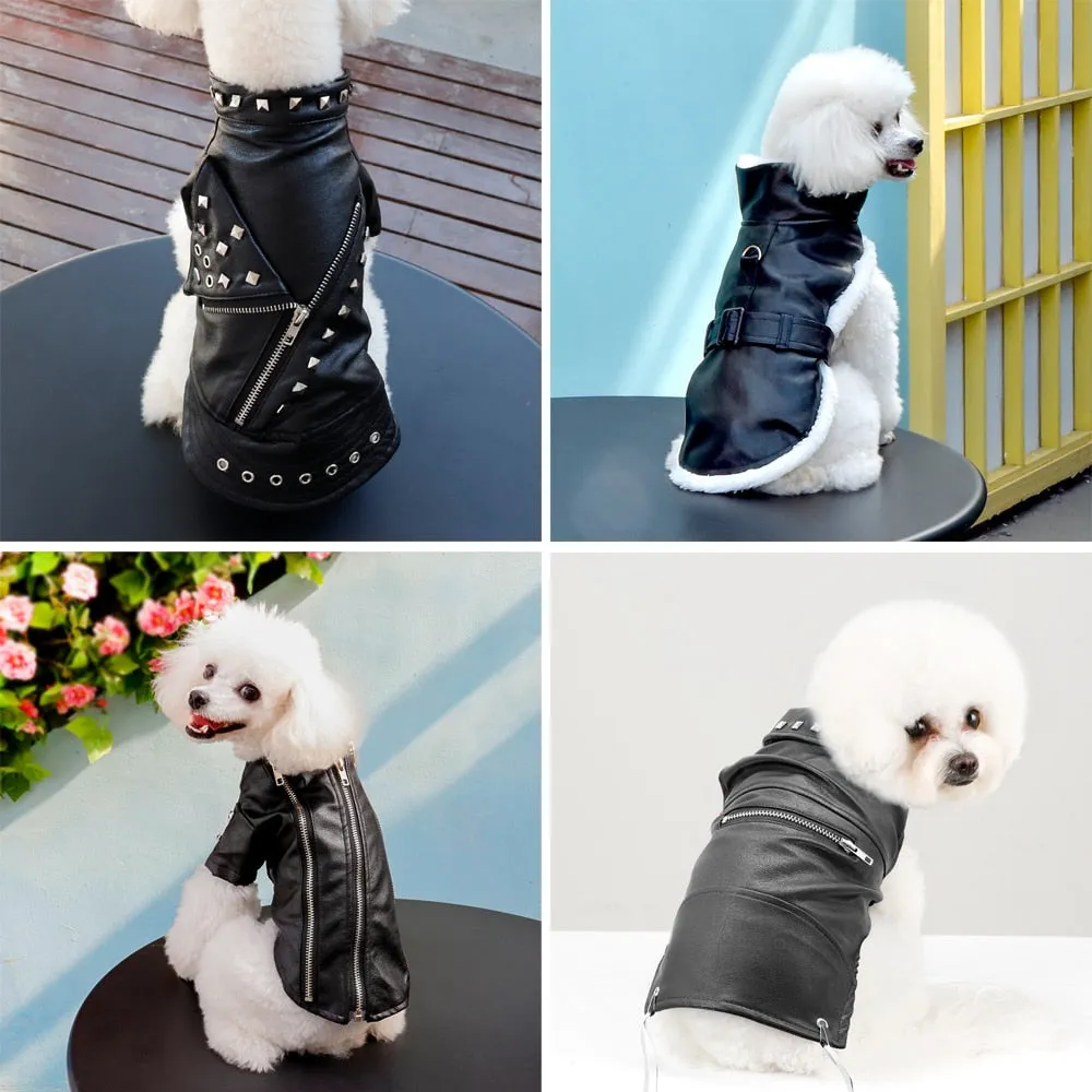 Cool Cute Leather Pet Jacket