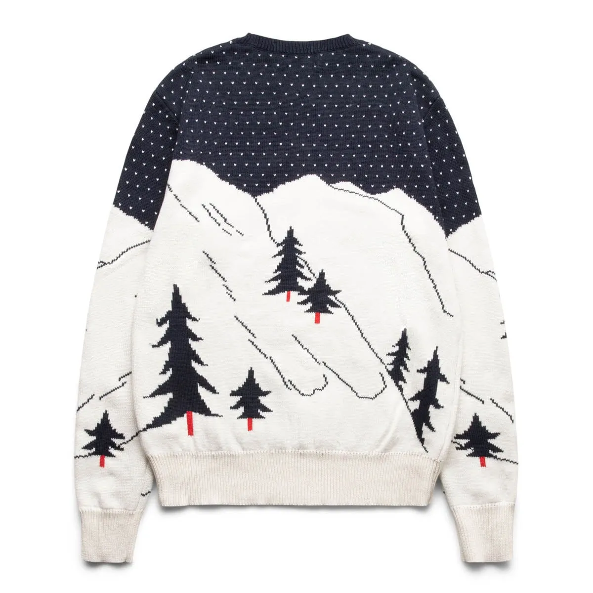 JACQUARD STITCHED SKI MOTIF CREWNECK SWEATER