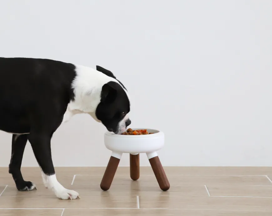 Pet Bowl - Oreo Table 2