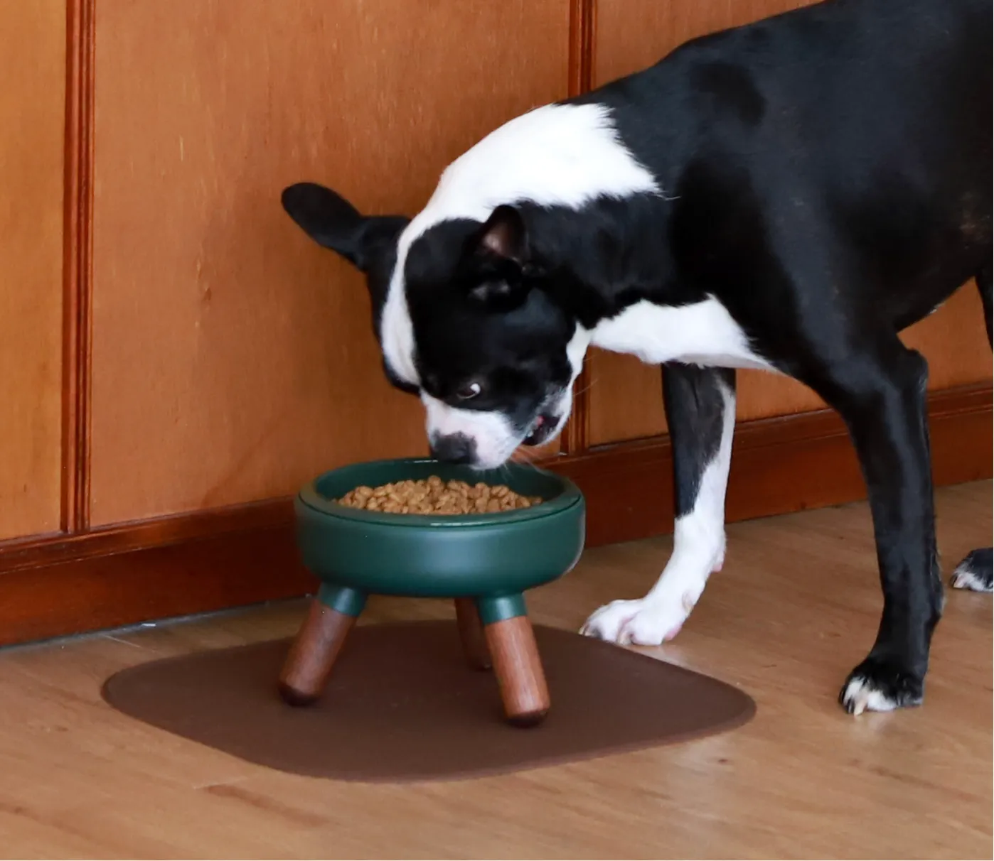 Pet Bowl - Oreo Table 2