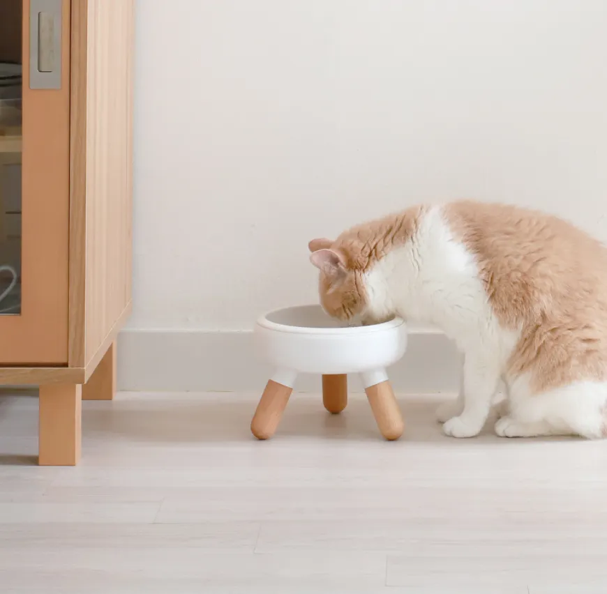 Pet Bowl - Oreo Table 2