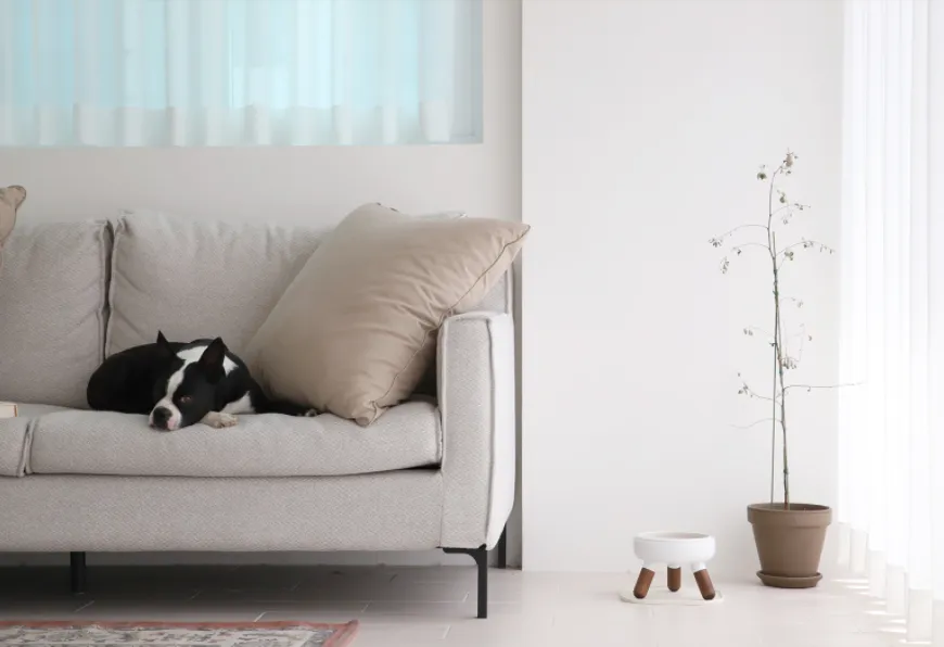 Pet Bowl - Oreo Table 2