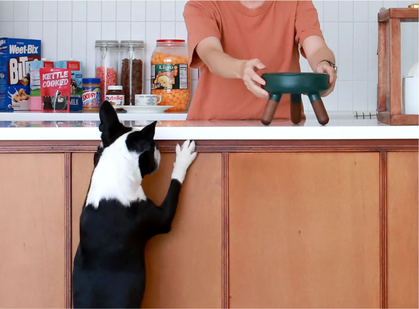 Pet Bowl - Oreo Table 2