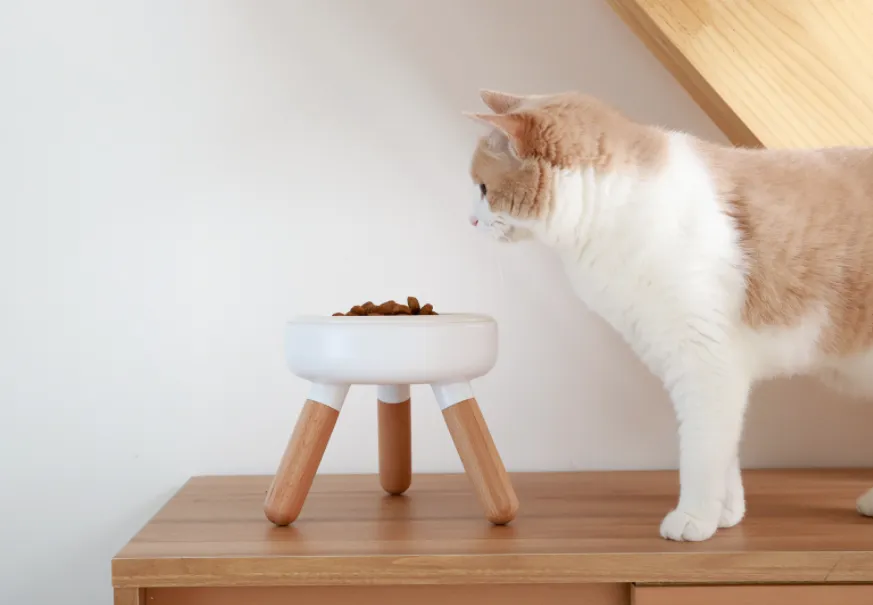 Pet Bowl - Oreo Table 2