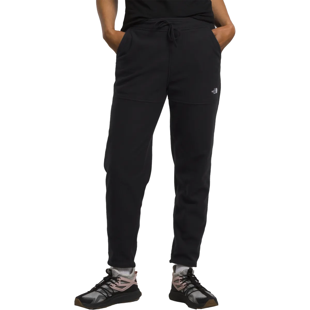 Women's Alpine Polartec 100 Pant